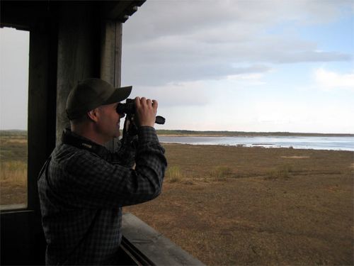 Wing at Liminka Bay Wildlife Refuge