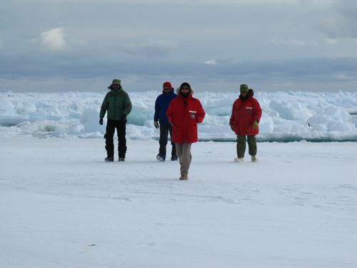 Drats!! Foiled At The Sea Ice Edge!