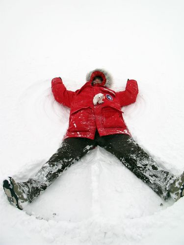 Antarctic Angel or Snow Star? What Say You?