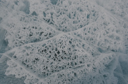 Ice at Lake Fryxell