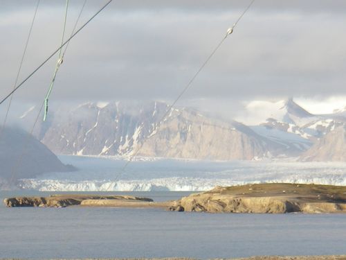 View from the dining room.