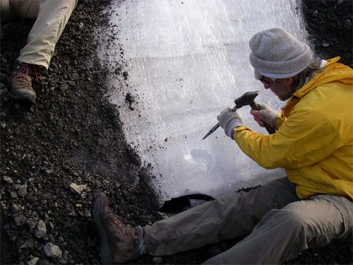 Al attempting to sample the ice