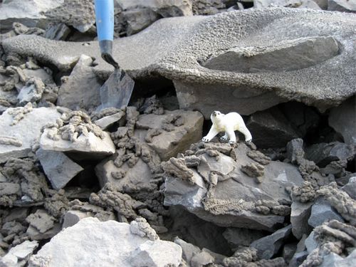 Clay sized sediments near a stream at the white fan near Lake Kongress