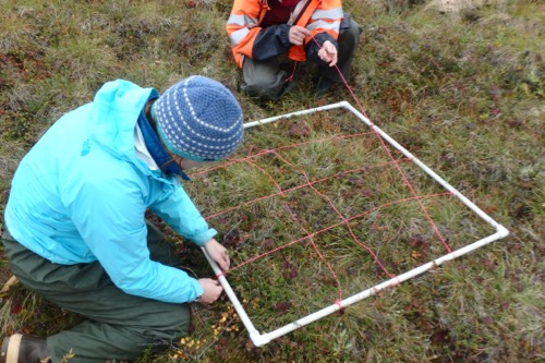 Setting up the experiment