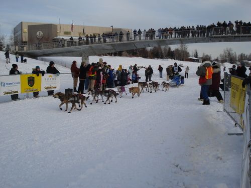 Yukon Quest Champion