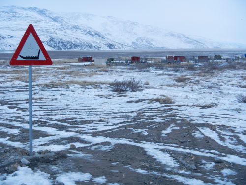 Sled dog crossing