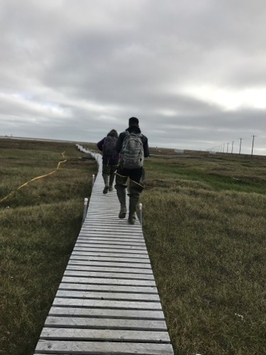 On the boardwalk. 