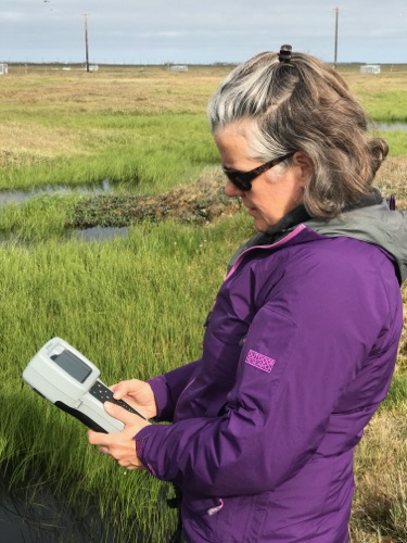 Lougheed in the field