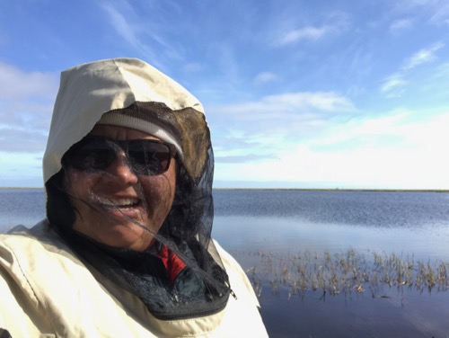 Mosquitos at Cake Eater Lake