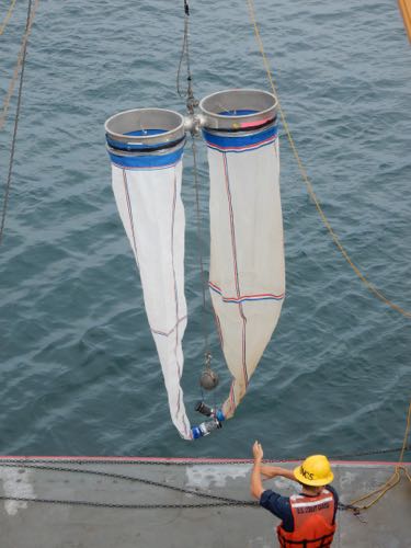 Bongo nets.