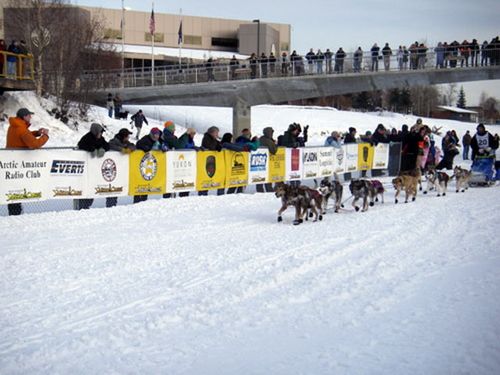 The Yukon Quest winning team about to cross the finish line.