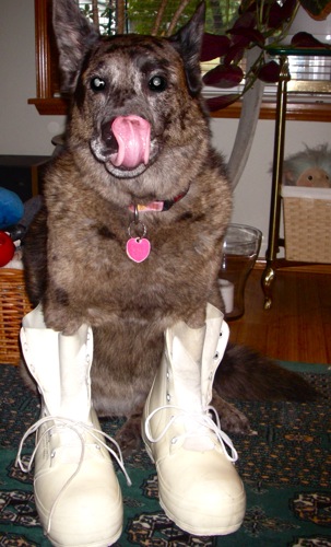 Lucy, the super&quot;dogel&quot; in Bunny Boots