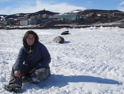 Seal Viewing- Antarctic Style