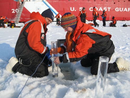 Sediment Traps