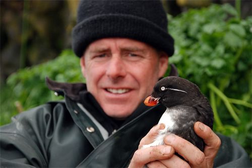 By-catch.  Sometimes we catch birds other than Crested Auklets