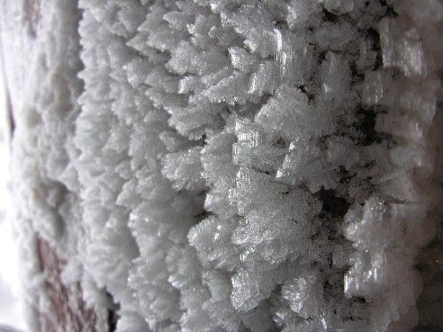 Hoar Frost