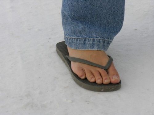 Arctic Footware?