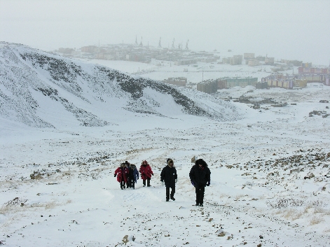 Tundra Hike