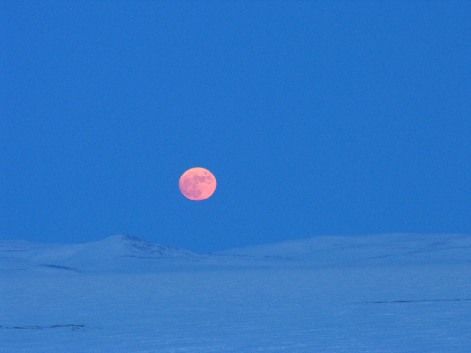 Moon Rise