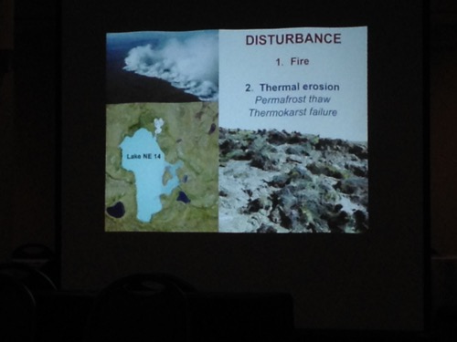 Thermal erosion in the permafrost