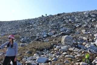 Mountain goats