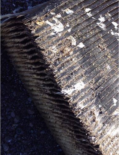 Baleen2