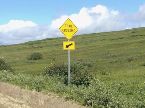 Trail marker signs for Iditarod