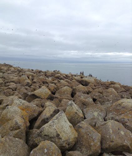 Rocky clifftops