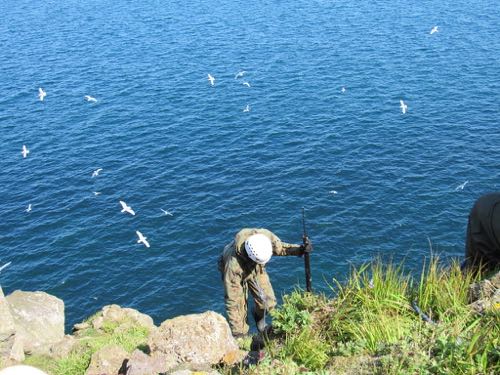 Monitoring from the top