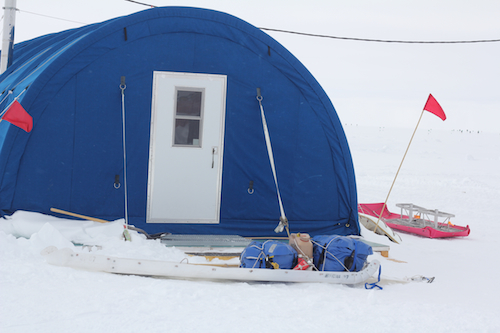 Blue velvet tent