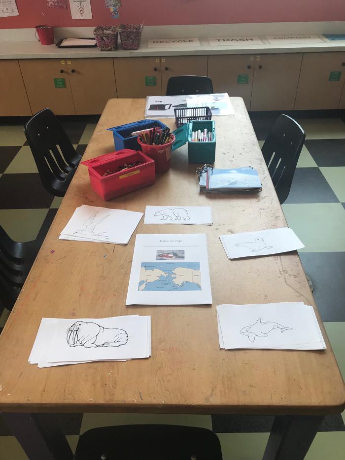 Polar Animals Activity