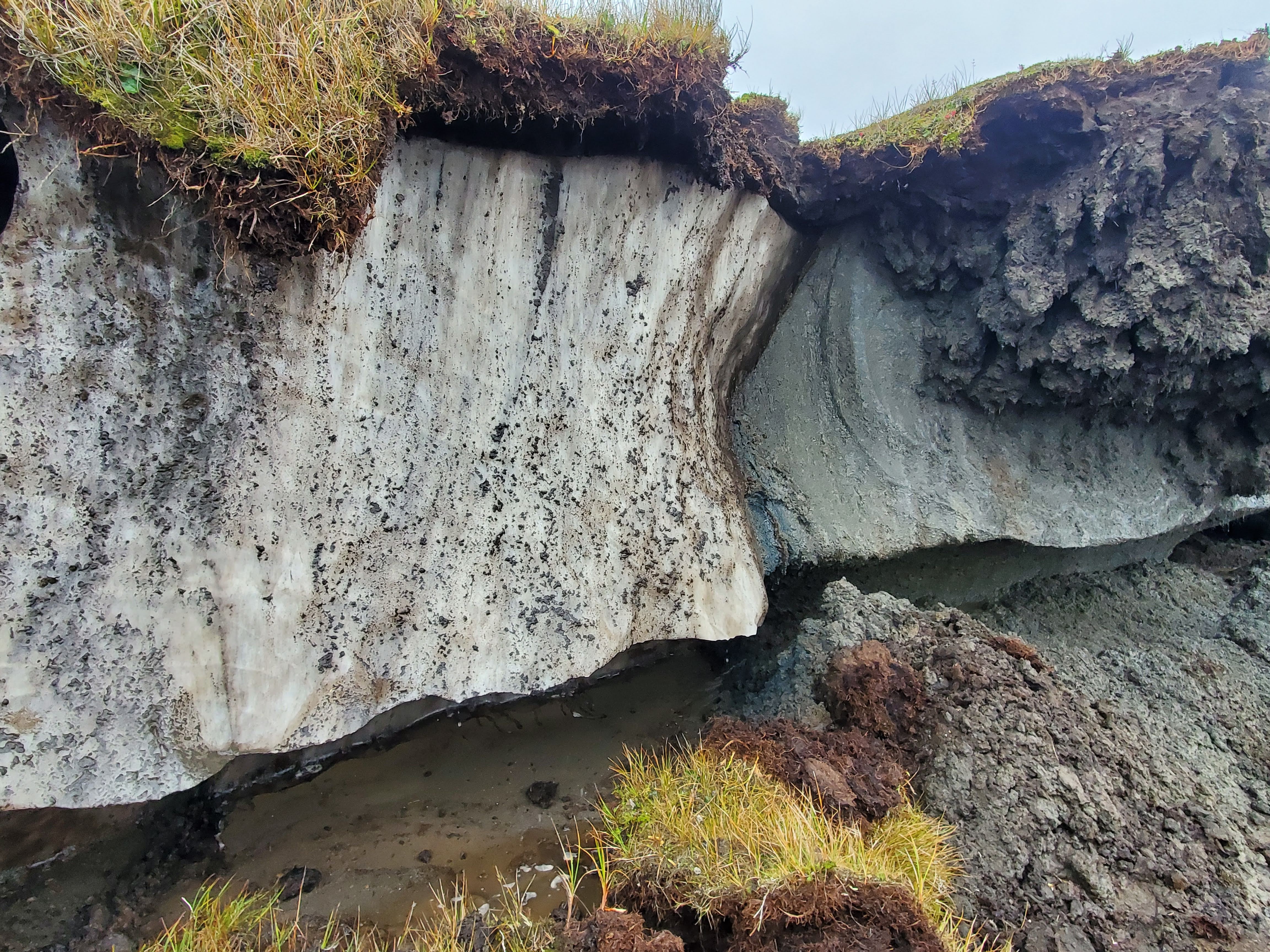 Monica Nuñez' Expedition Photos from Utqiagvik, Alaska