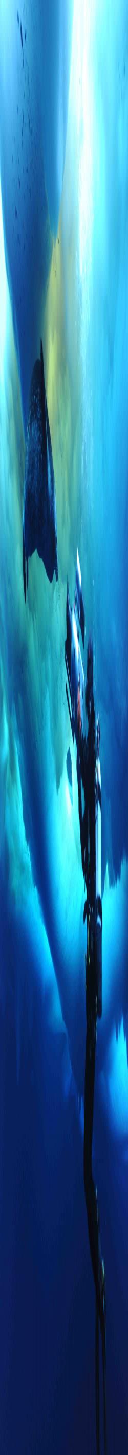 A Weddell seal meets a cameraman under the sea ice near McMurdo Station, Antarctica. Photo by Steve Rupp, Courtesy of Michael League.