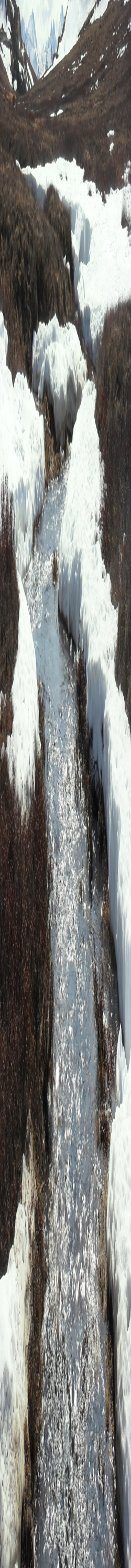 Spring thaw on the tundra outside of Toolik Lake, Alaska