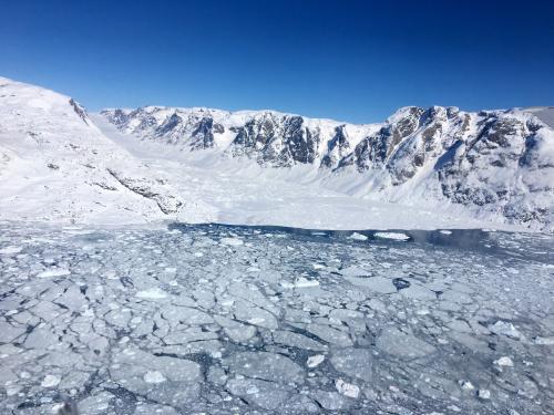 Tide Water Glacier