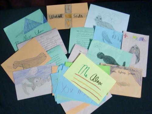 ECS Eagles thank you cards