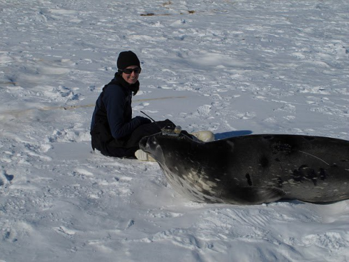 Michelle with seal