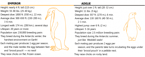 Emperor and Adelie chart