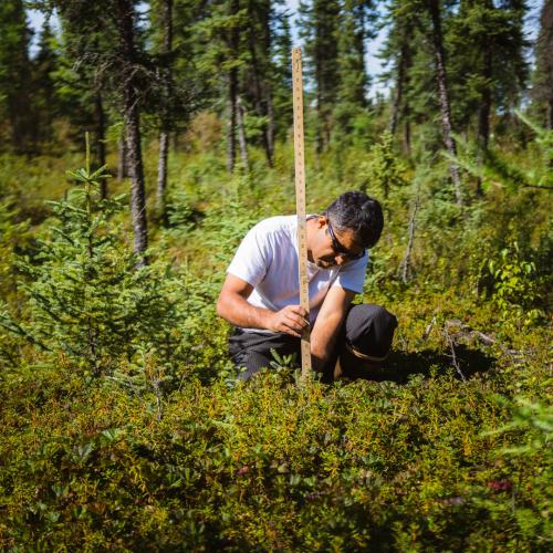 Measuring permafrost depth