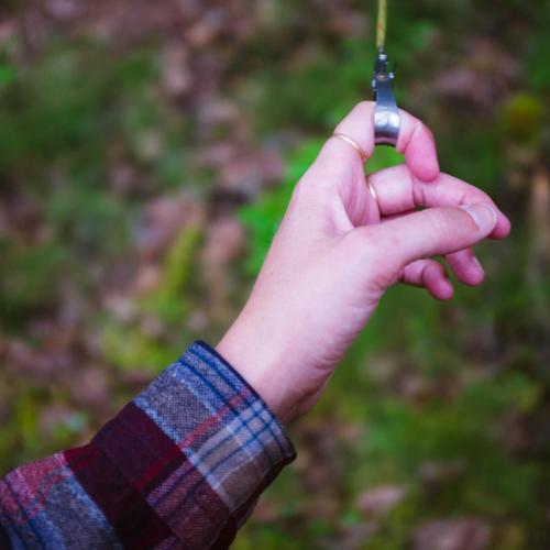 Tape measure for tree transect