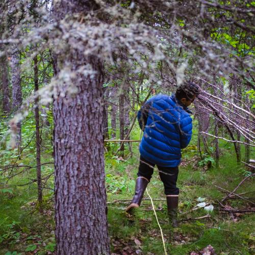 Walking a tree transect