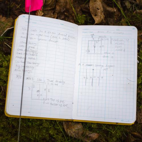 Field notebook, tree transects