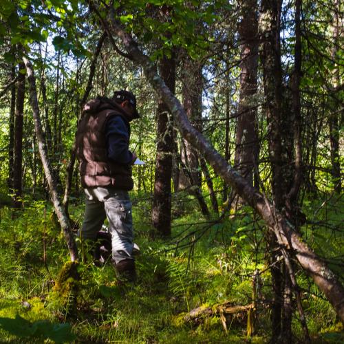 Permafrost research in Nikolai