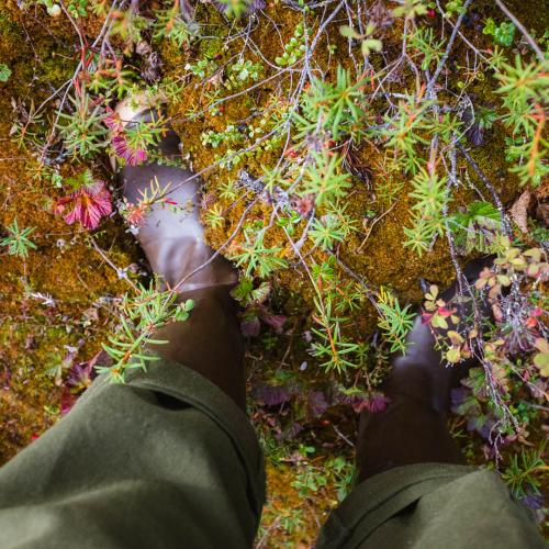 Permafrost active layer