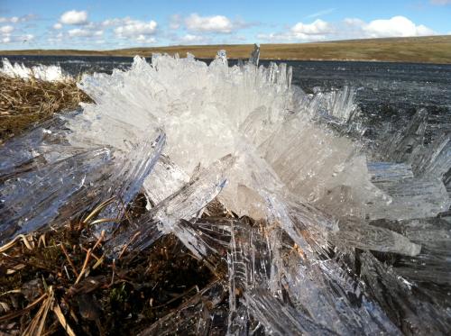 ice crystals