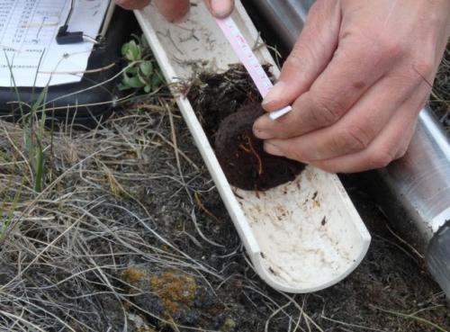 Soil core sample