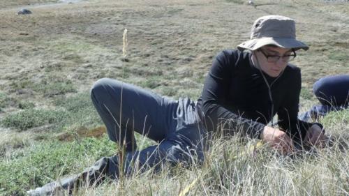 Research assistant amber ahronian counting flowers