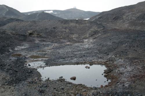 Surface water can be found in sheltered areas of the Antarctic coast.