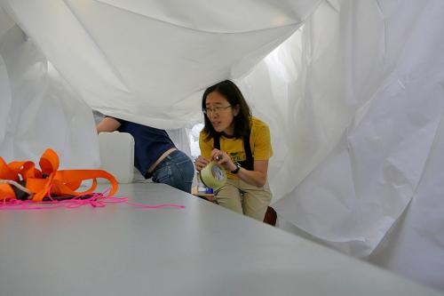 Dr. Phoebe Lam Building The Bubble