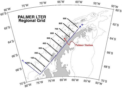 Palmer LTER regional grid